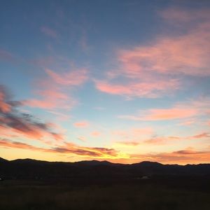 Meet your Posher, Quinn