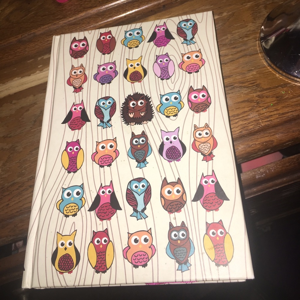 Cute owl journal