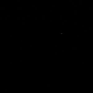 Meet your Posher, Dianne