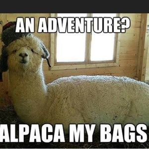 Meet your Posher, Sally