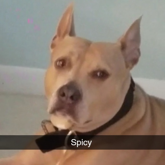 Meet your Posher, Cedrick - Picture 1 of 1