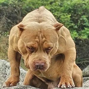 Meet your Posher, Estevan