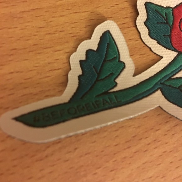 Rose patch - Picture 2 of 4