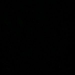 Meet your Posher, Shanedra