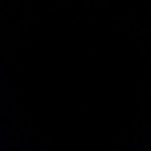 Meet your Posher, Lenny