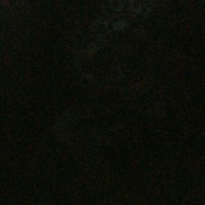 Meet your Posher, Charles