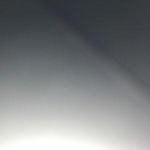 Meet your Posher, Giselle