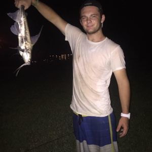 Meet your Posher, Kraig