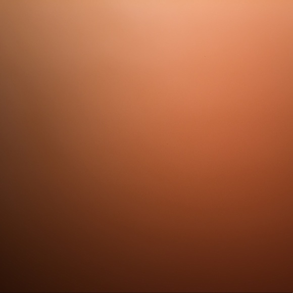 Meet your Posher, Rizo - Picture 1 of 1