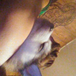 Meet your Posher, Lilly