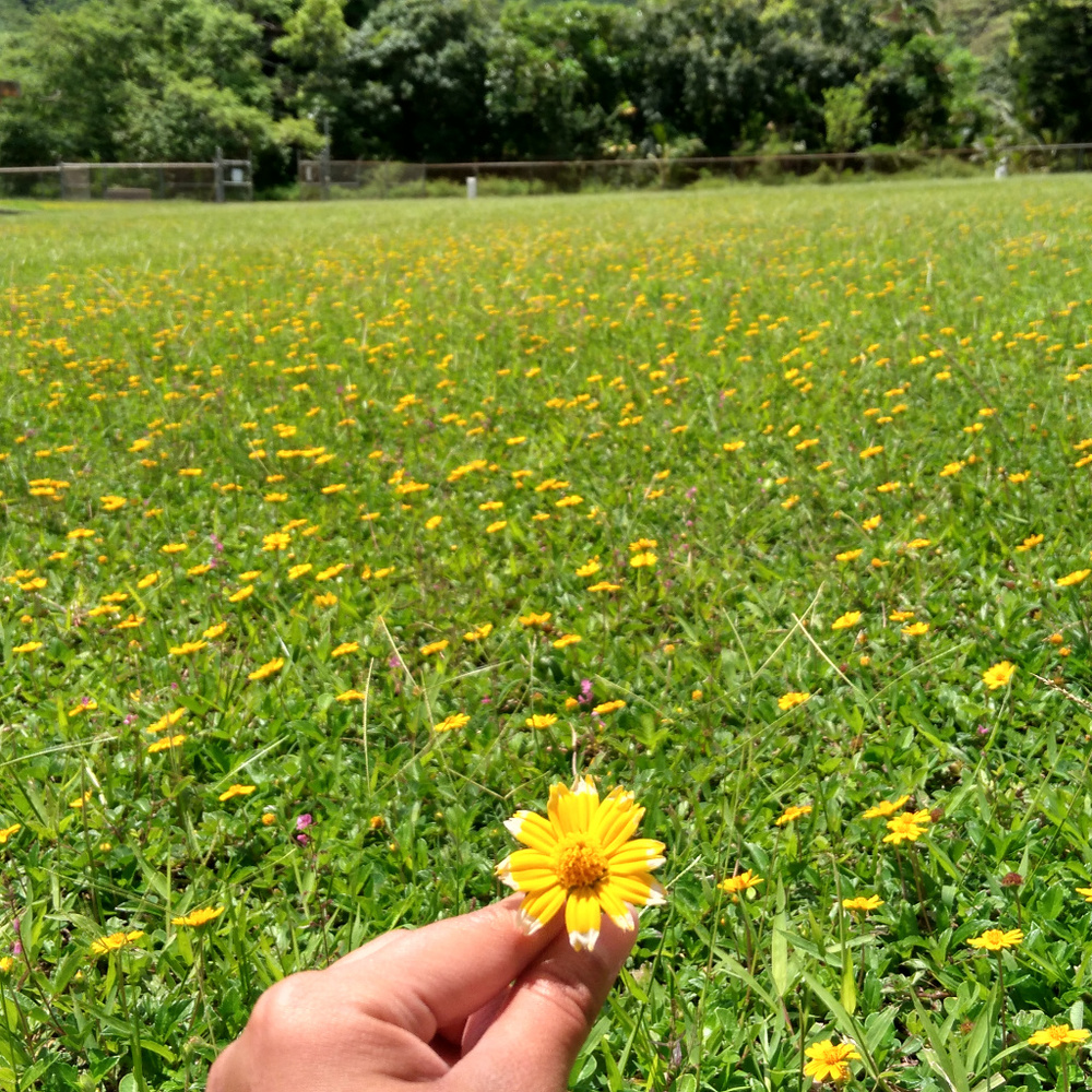 Meet your Posher, Ellen