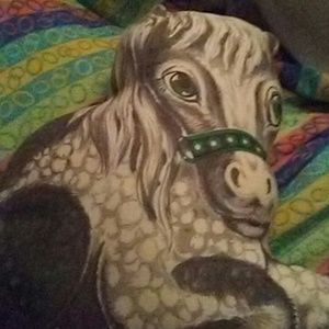 Childs horse pillow