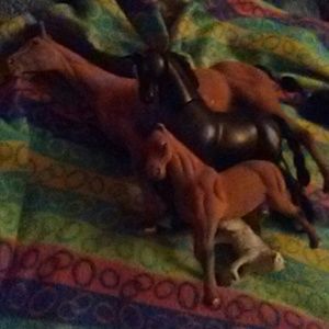 3 set of horses with an arctic wolf