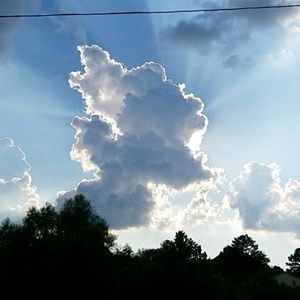 Meet your Posher, Brandy