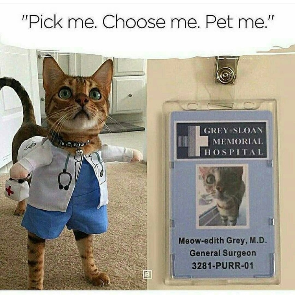 Need to Sell everything