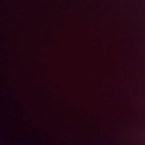 Meet your Posher, Rose