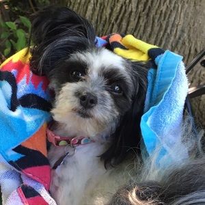 Meet your Posher, Debra