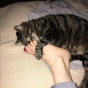 Meet your Posher, Mindy