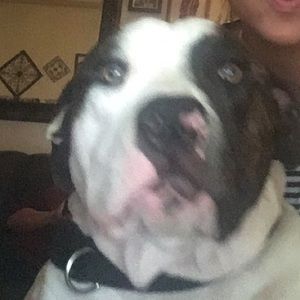 Meet your Posher, Sally