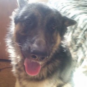 Meet your Posher, Debby