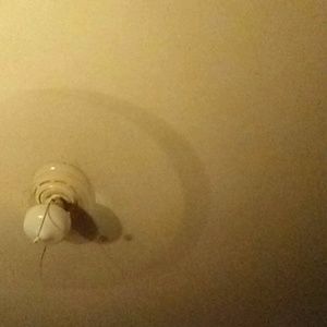 Meet your Posher, Gloria