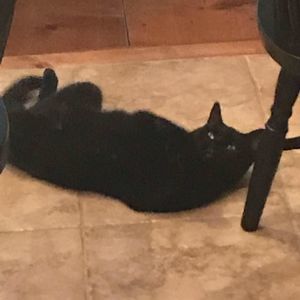 Meet your Posher, Tim