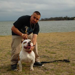 Meet your Posher, El