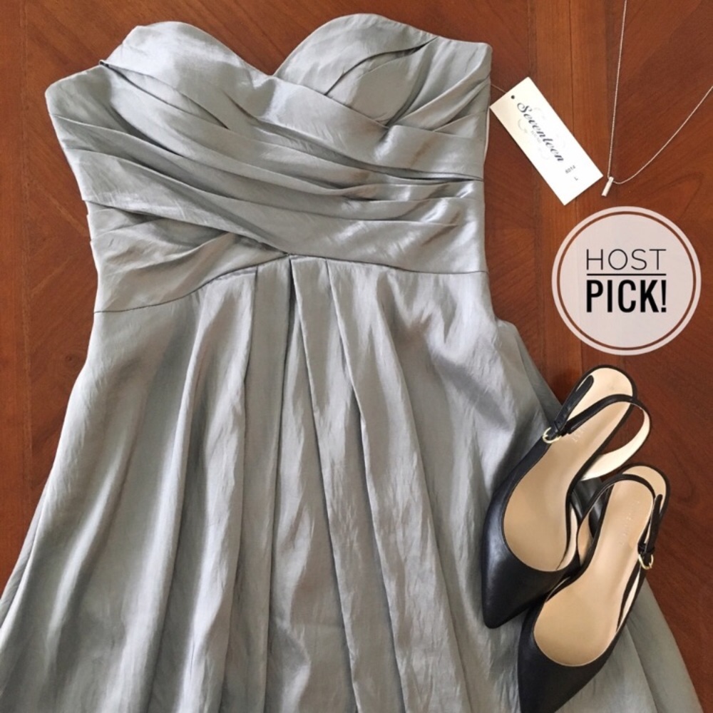 Cinderella silver strapless sweetheart midi dress