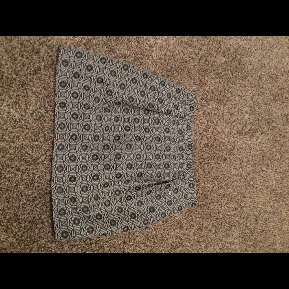 Francesca's skirt