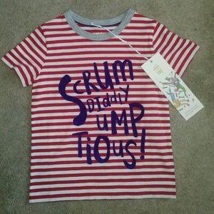NEW Mini Boden tee sz 4/5