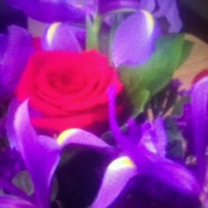 Meet your Posher, Loretta