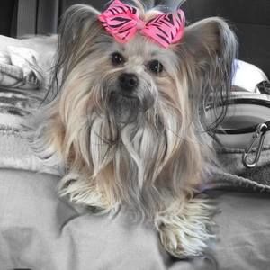 Meet your Posher, Mark n lisa