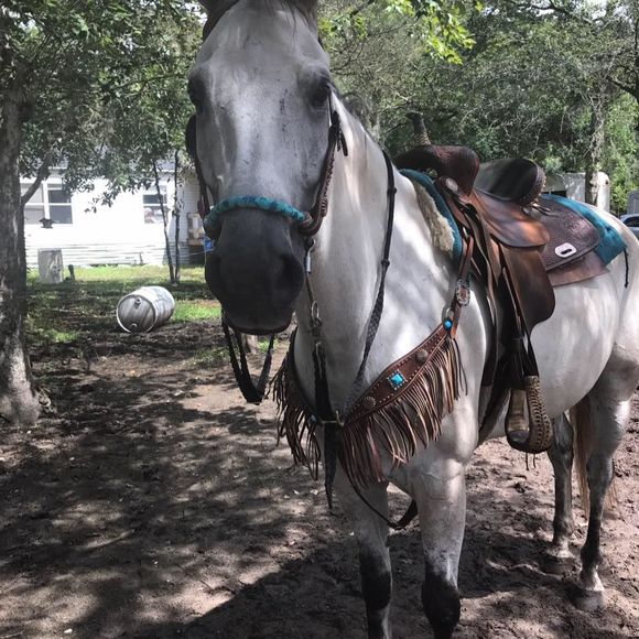 Meet your Posher, Devin - Picture 1 of 1