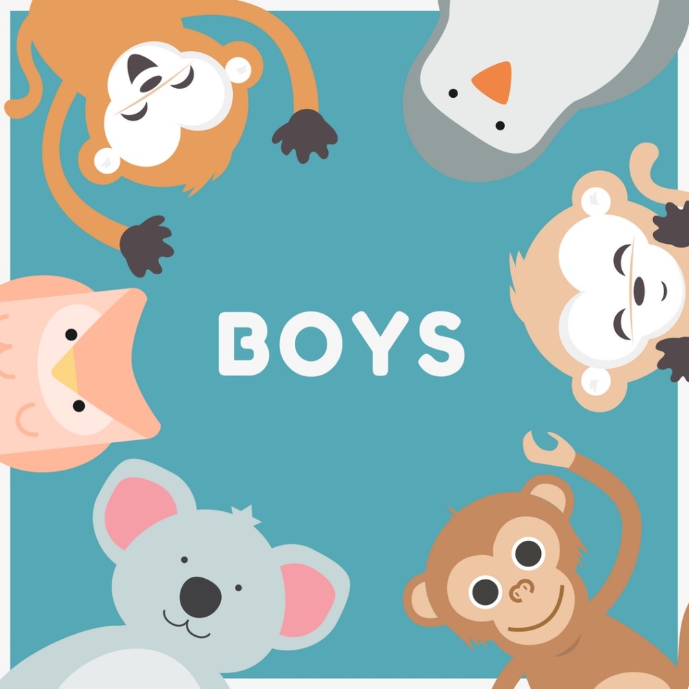 Boy's Clothing