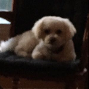 Meet your Posher, Karen