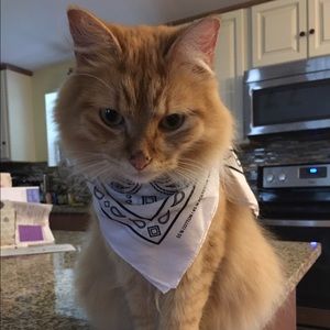 Meet your Posher, Mia