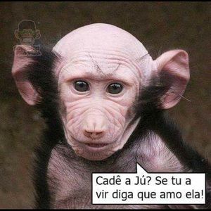 Meet your Posher, Rod