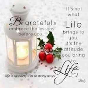 Meet your Posher, Marlene