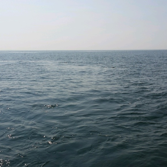 Meet your Posher, Candace - Picture 1 of 1