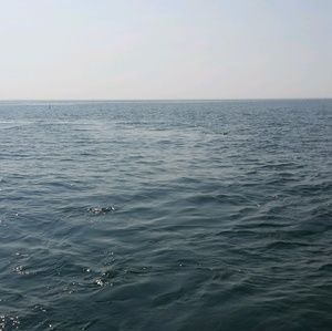 Meet your Posher, Candace