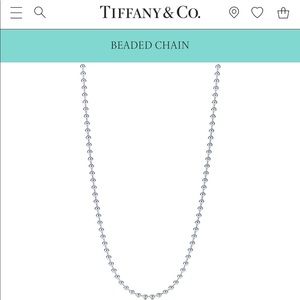 Authentic Tiffany & Co. 18 Inch Necklace w/Charm
