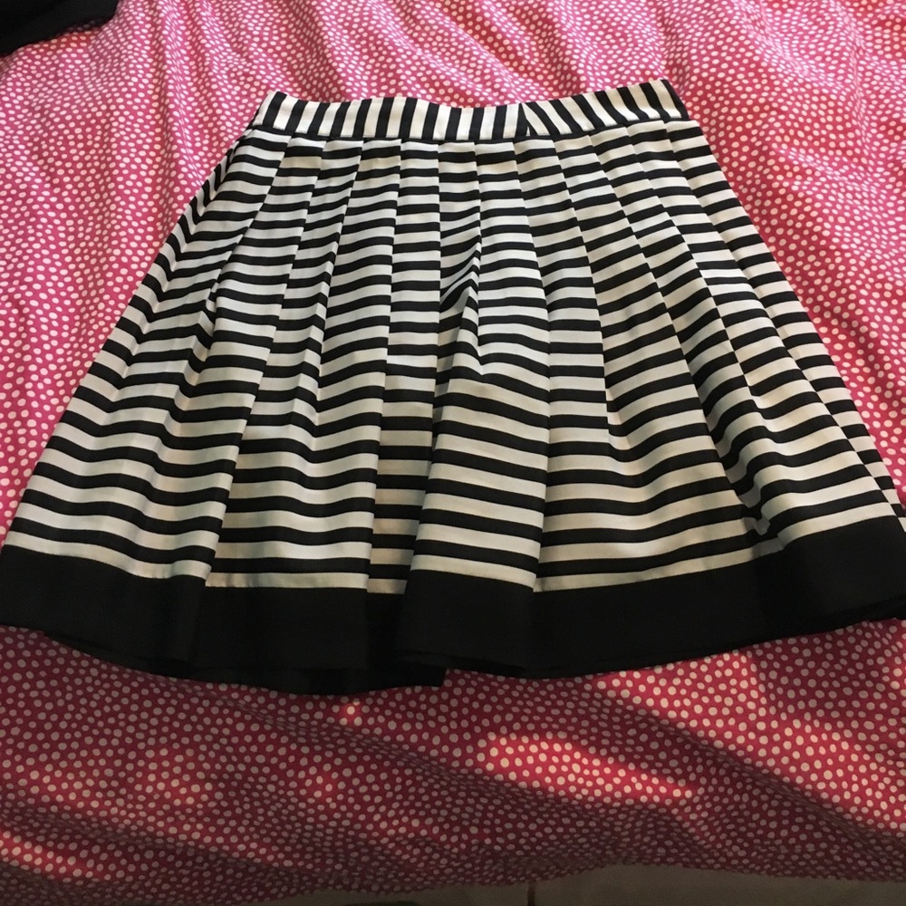 Pleated Skirt