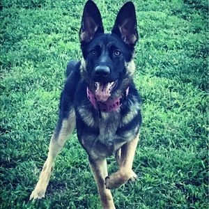 Meet your Posher, Alyssa