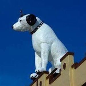 Meet your Posher, Francene