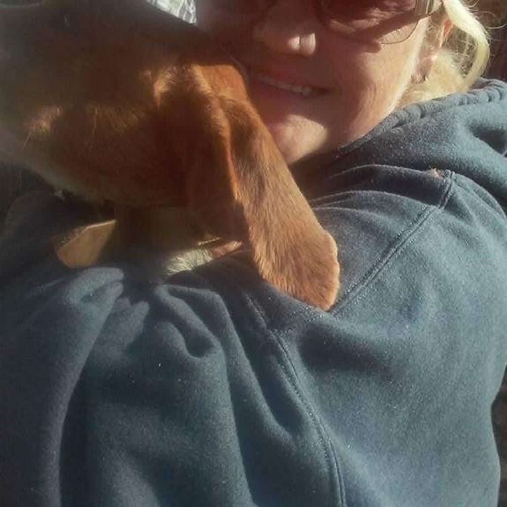 Meet your Posher, Shirley