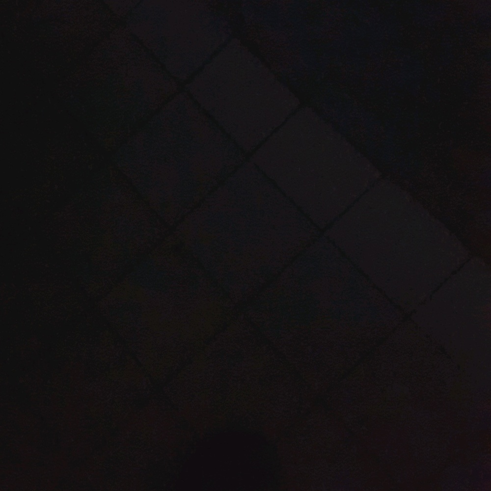 Meet your Posher, Anahi