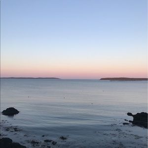 Meet your Posher, Ashlie