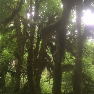 Meet your Posher, Jenny