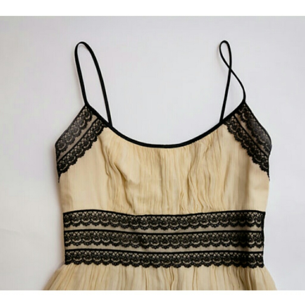 Maggy London Black Lace Cream Dress