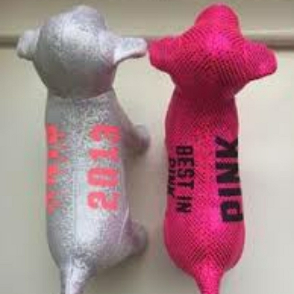 ISO victoria secret pink silver best in pink dog